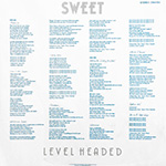 Levelheadedinsert2w