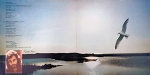 Para ti que has volado gatefold w