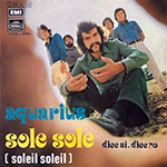 Sole sole front w